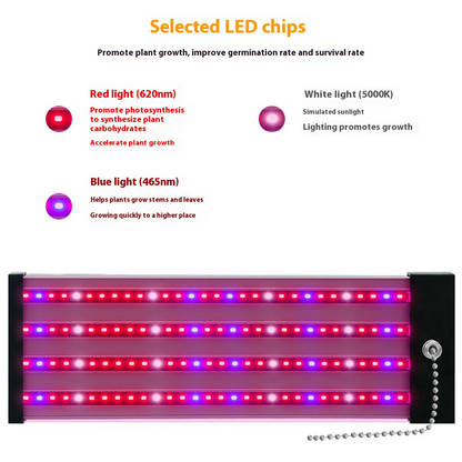 Skanto | LED Grow Light with Full Spectrum Lighting and Pull Switch for Optimal Plant Growth