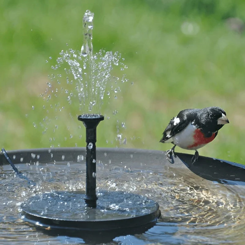 Skanto | Solar-Powered Bird Fountain with Light