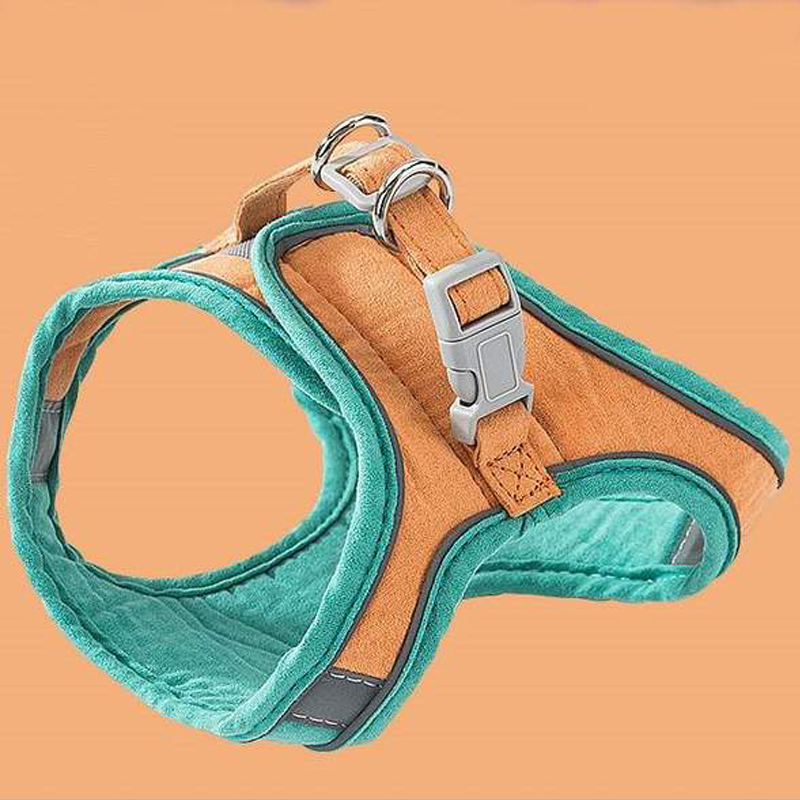 Harness and Leash Set for Cat | Skanto