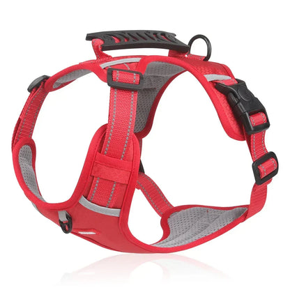 NoPull Dog Harness – WalkEase Skanto