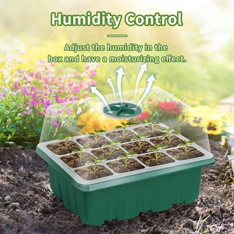 Seed Starter Trays with Grow Light, 5 sets | Kalsten