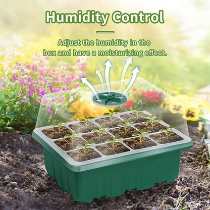 Seed Starter Trays with Grow Light, 5 sets | Kalsten
