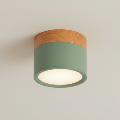 Aluminum LED Flush Mount Ceiling Light