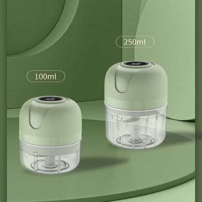 USB Rechargeable Electric Garlic Chopper | Karnz