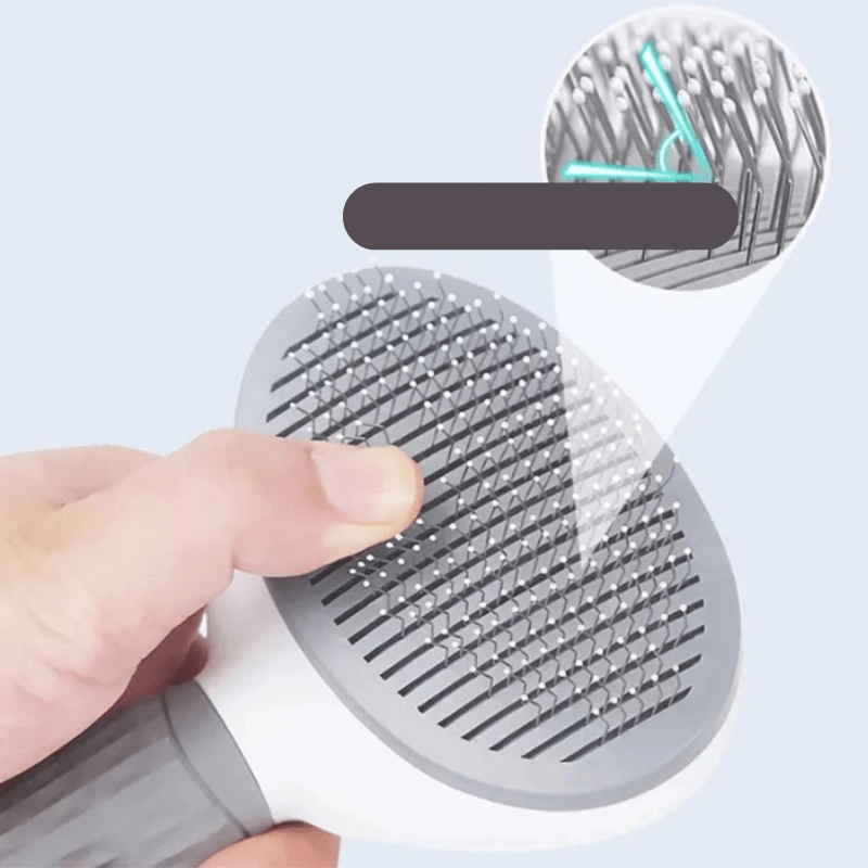 Skanto | Gentle Care for Every Coat