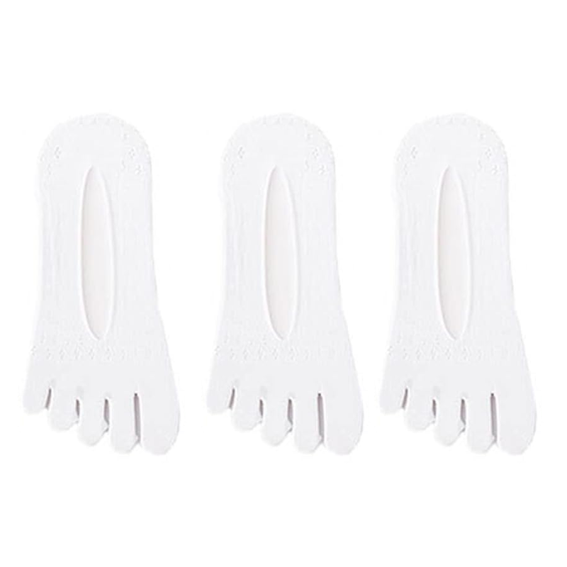 New Women's Toe Socks | Skanto
