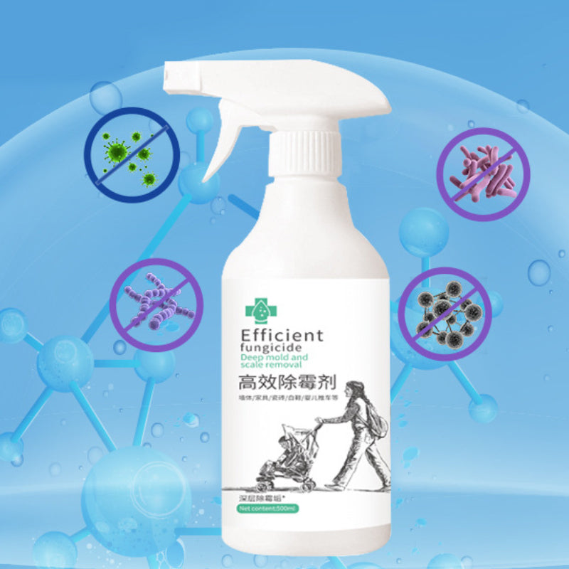 Skanto | High-Efficiency Mold Remover