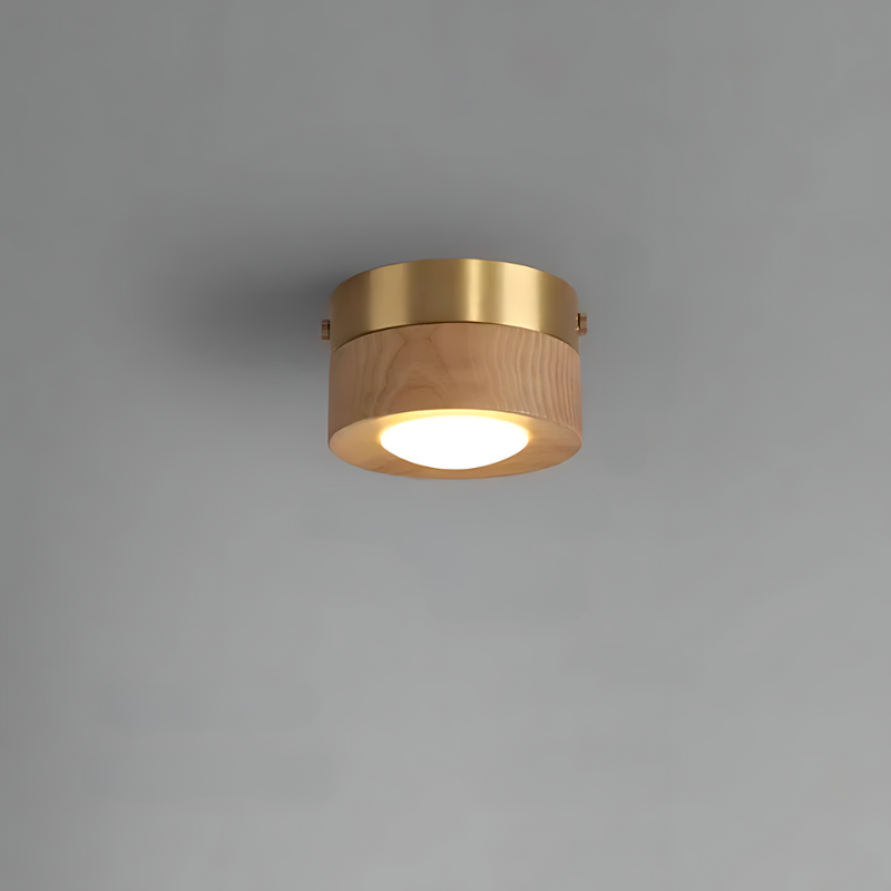 Skanto | | Walnut Ceiling Lamp with LED Spotlights