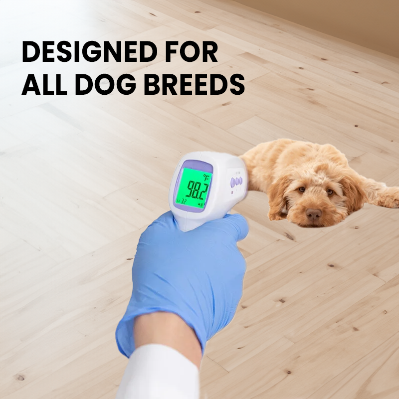 Contactless dog thermometer with one-click reading