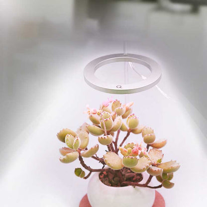 Skanto | Grow Light for Indoor Plants