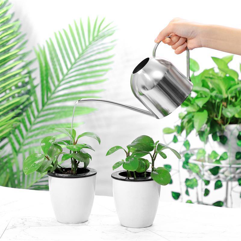 Skanto | Stainless Steel Watering Can with Flexible Neck | Modern Design | Perfect Watering | Won't Rust