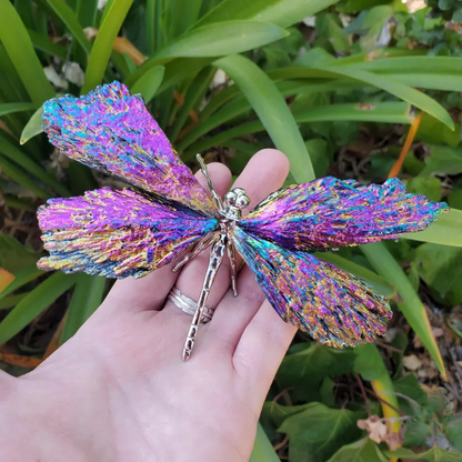 Skanto | Aurora Dragonfly Charm