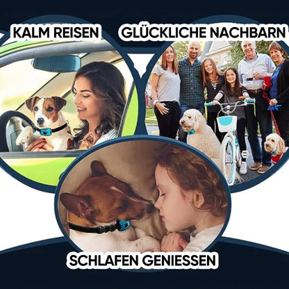 Rechargeable, waterproof dog trainer