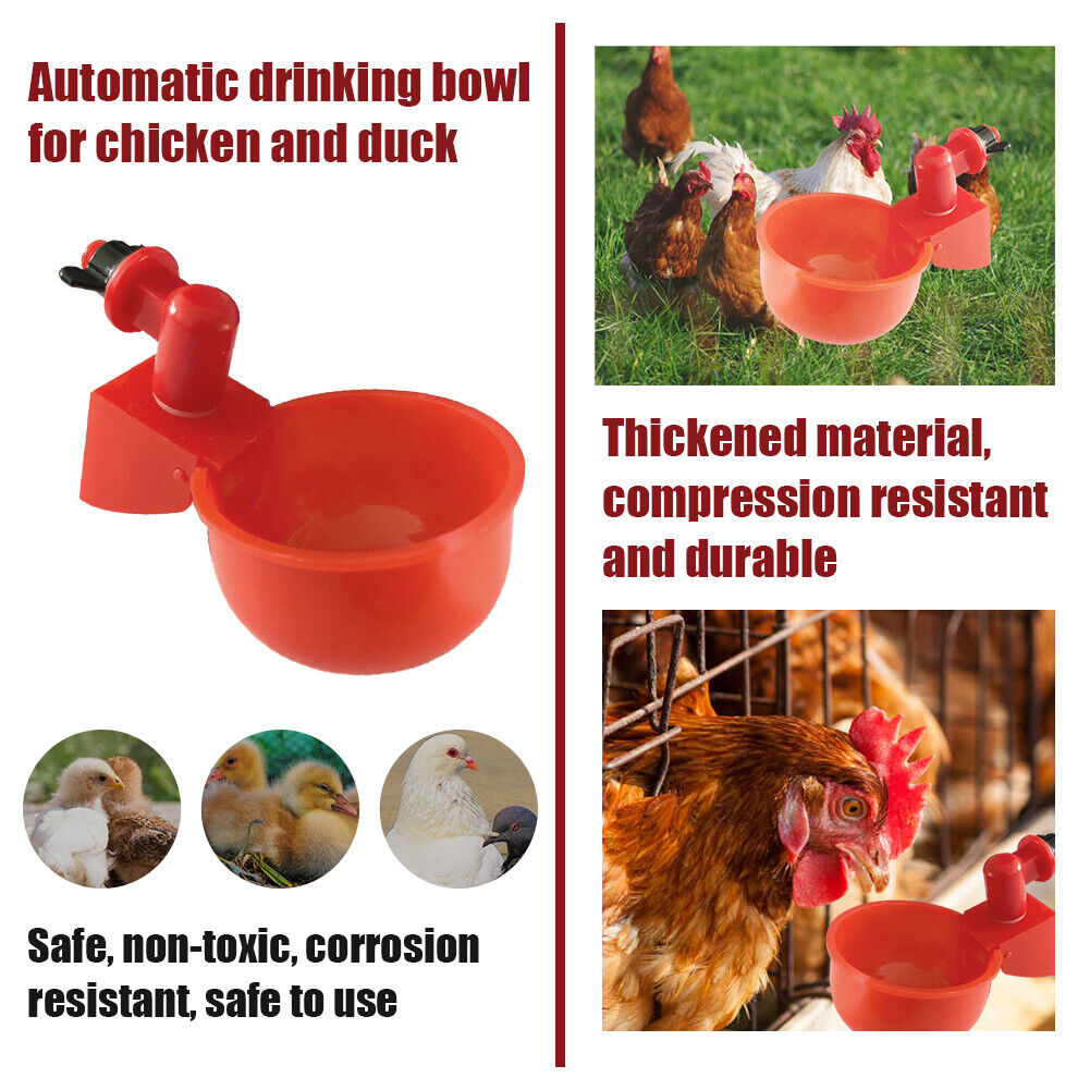 Skanto | Automatic Poultry Drinker