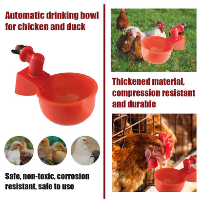 Skanto | Automatic Poultry Drinker