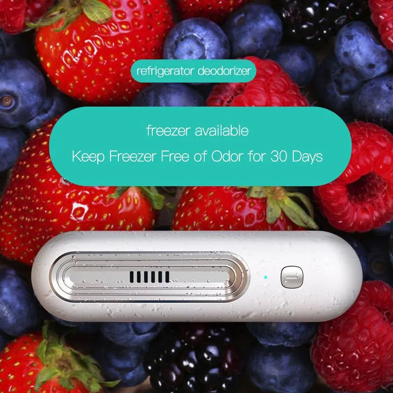 BowLift | Compact Air Purifier and Refrigerator Deodorizer