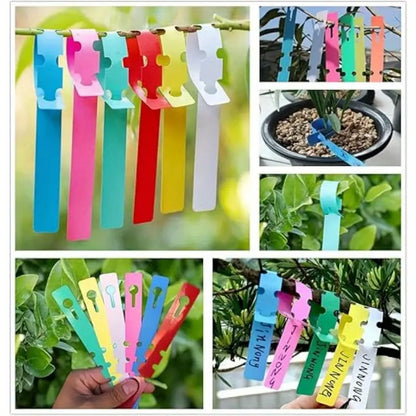 Skanto | Reusable Plastic Plant Labels for Garden and Tree Tagging