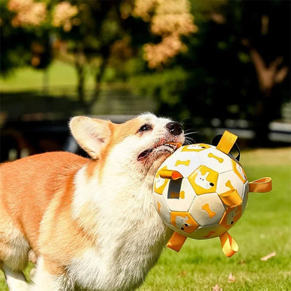 Interactive soccer toy for dogs | Brehn