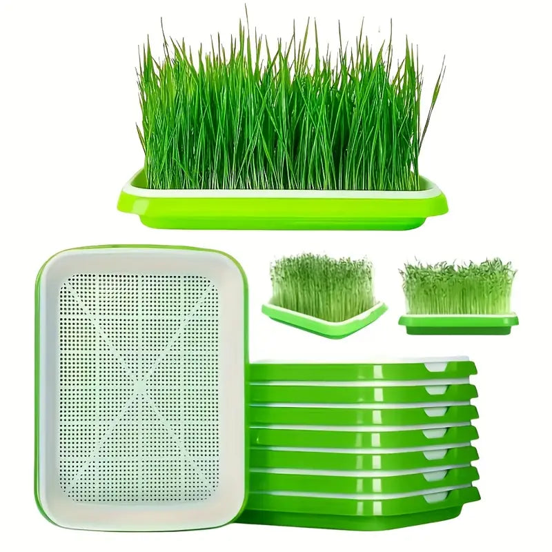 Skanto | Seedling Tray with Lid – Double-Layer Seedling Tray for Efficient Seed Germination