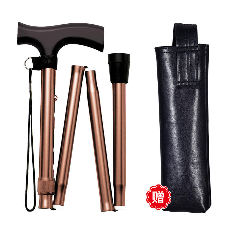 Skanto | Expandable and Foldable Walking Stick