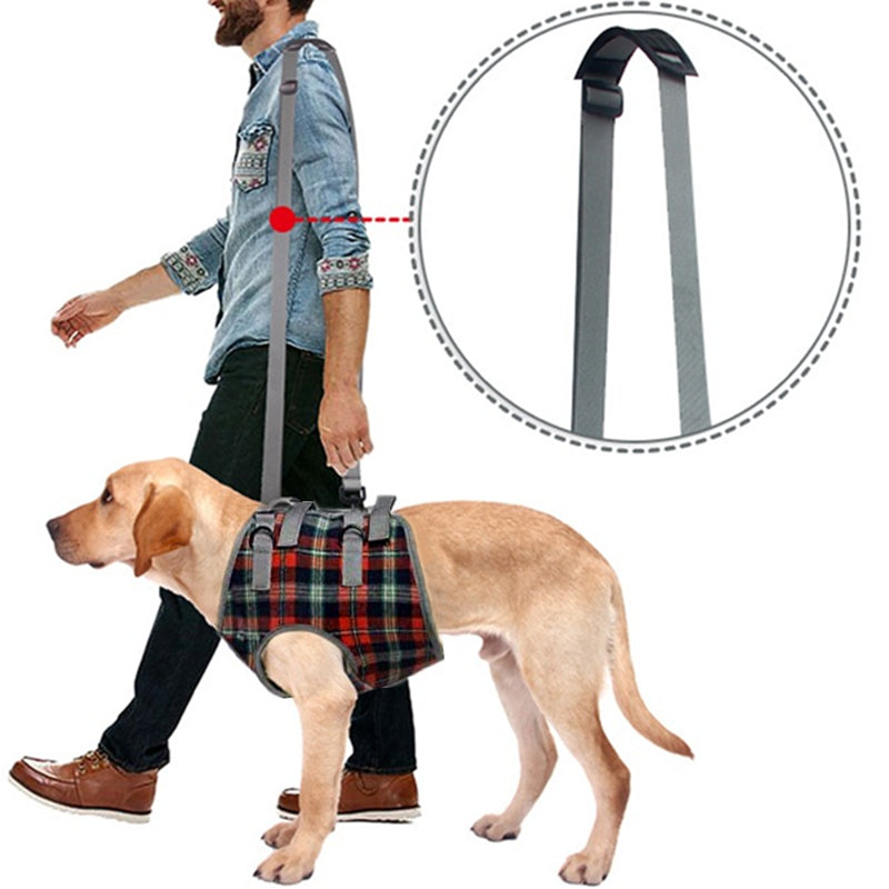 Skanto | Dog Lift Harness with Handle, Pet Recovery Sling