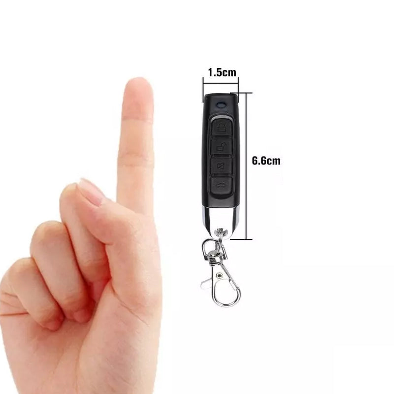 Remote control duplicator