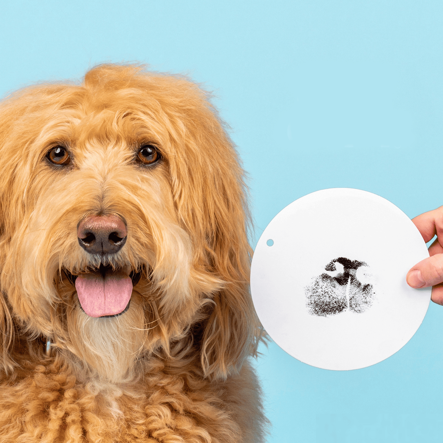 Skanto | Paw Print Stamp Pad