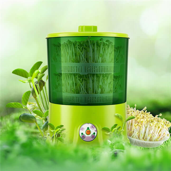 Skanto Skanto | Effective Sprout Growing Kit for Healthy and Fresh Growth