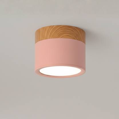 Aluminum LED Flush Mount Ceiling Light