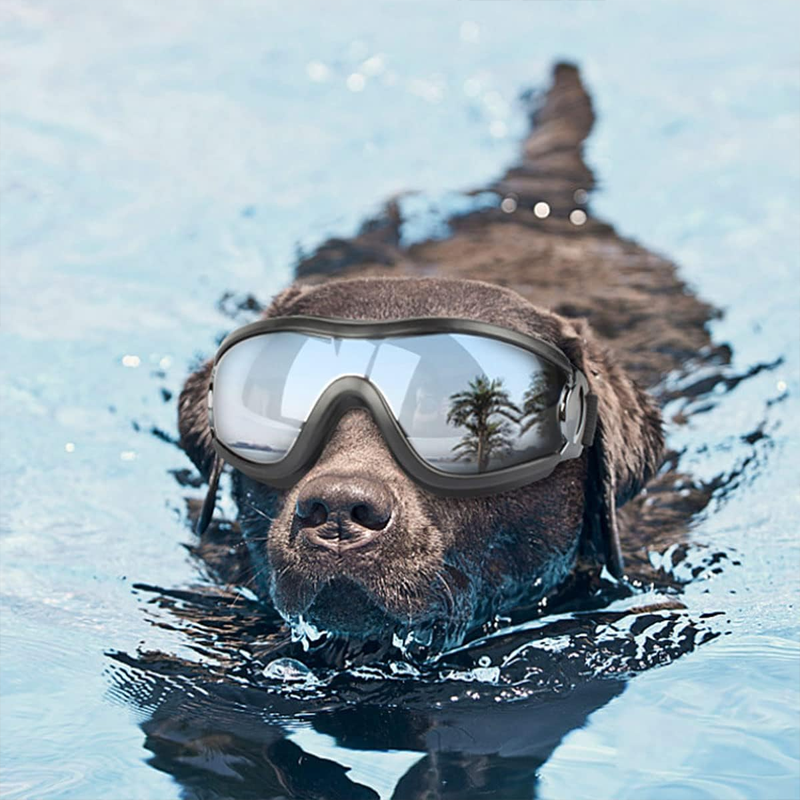 Skanto | Outdoor Dog Goggles