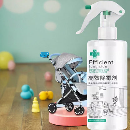 Skanto | High-Efficiency Mold Remover