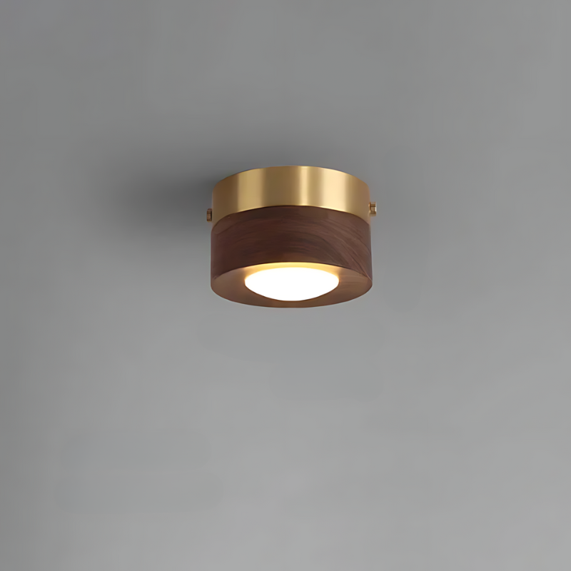 Skanto | | Walnut Ceiling Lamp with LED Spotlights
