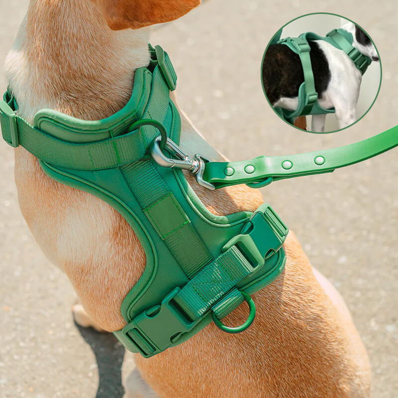 Skanto | Adjustable Dog Vest Harness with 3 Leash Clips