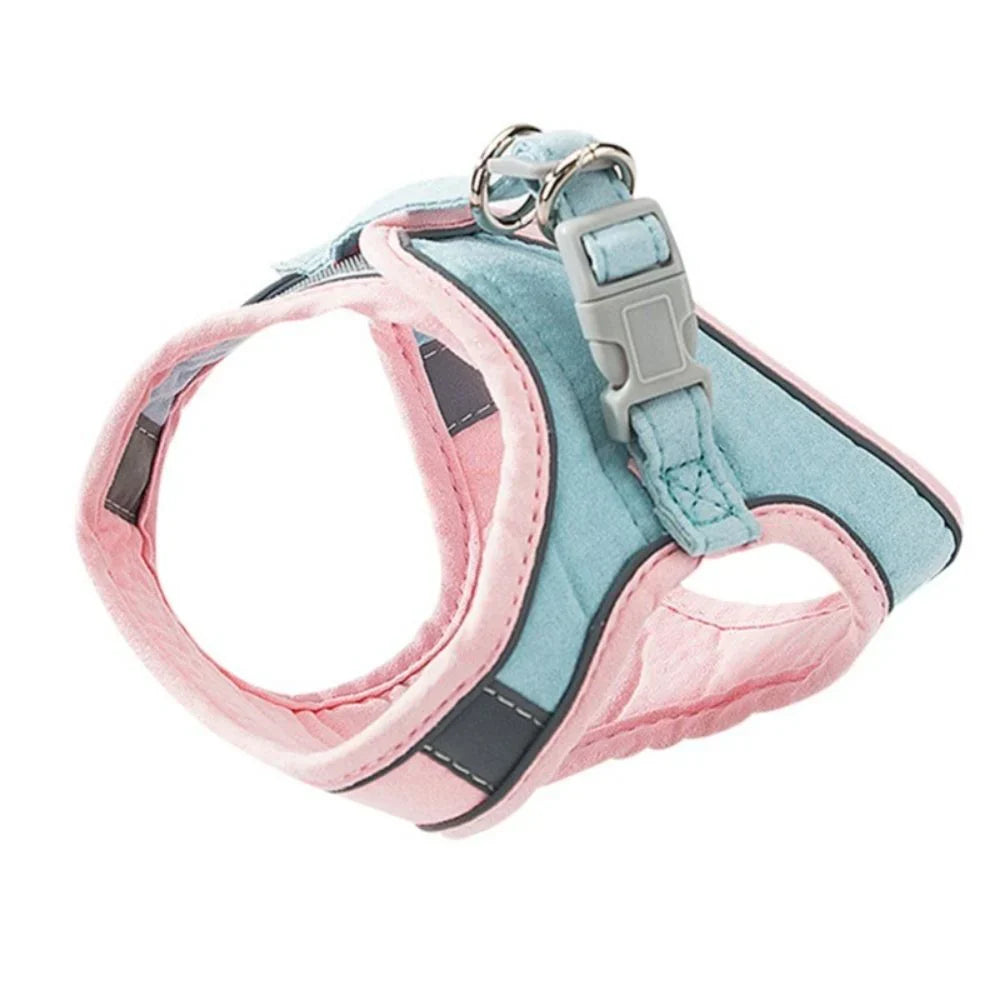 Cat Harness – Safe and Comfortable for Outdoor Adventures Bowlift
