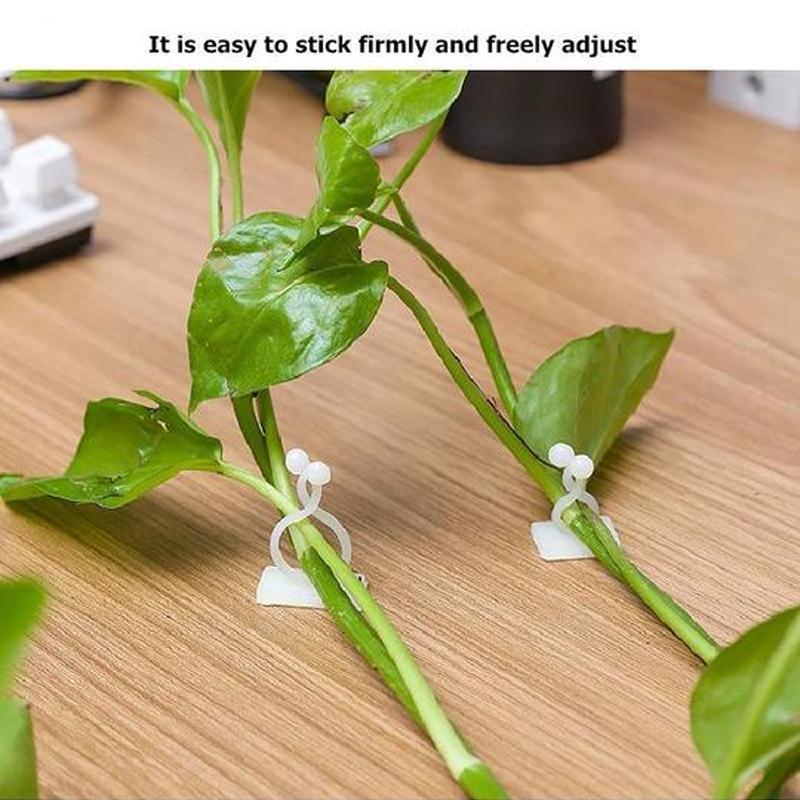 Wall clips for climbing plants (30 pieces) | Bowlift