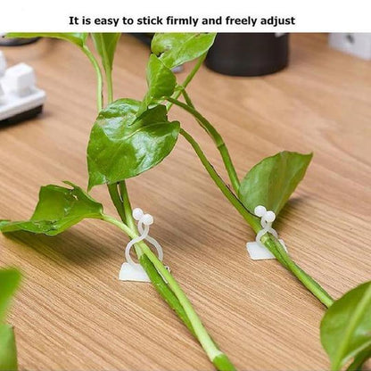 Wall clips for climbing plants (30 pieces) | Bowlift