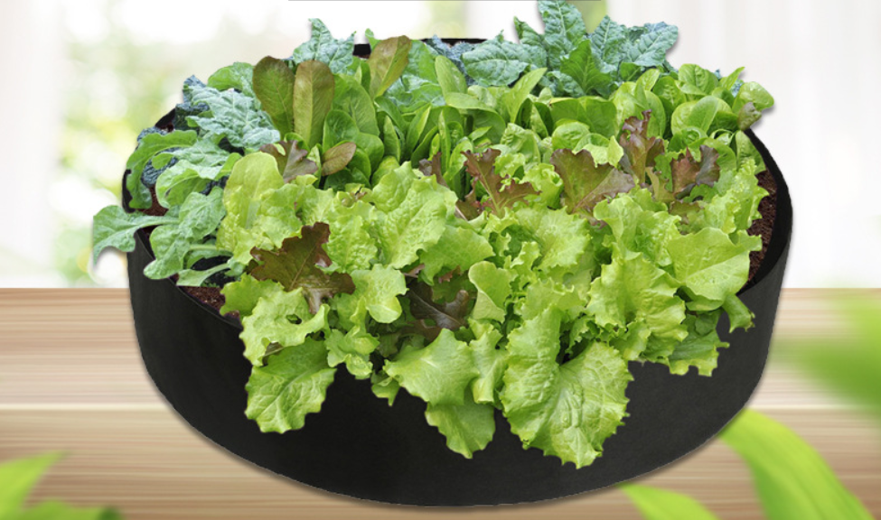 BowLift | Round Plant Growth Bag – Garden Container for Easy Plant Growth