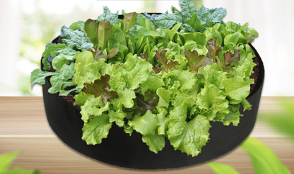 BowLift | Round Plant Growth Bag – Garden Container for Easy Plant Growth