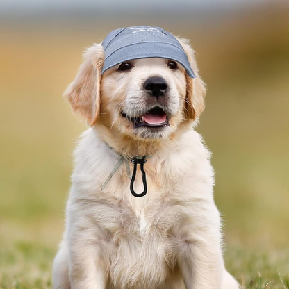 BowLift | Outdoor Sun Protection Hood for Dogs