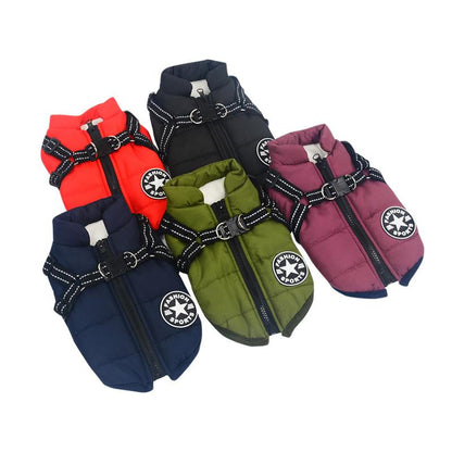 Skanto | Winter Zipper Coat for Dogs