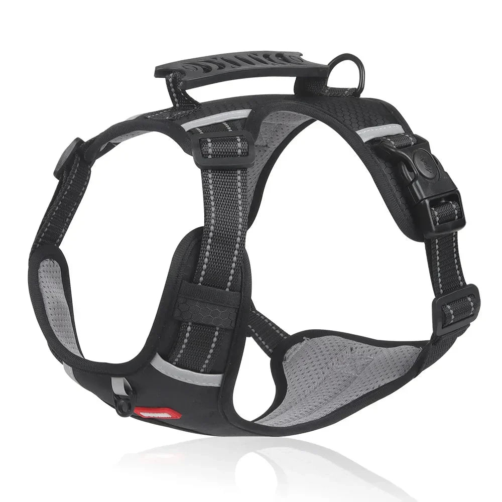 NoPull Dog Harness – WalkEase Skanto