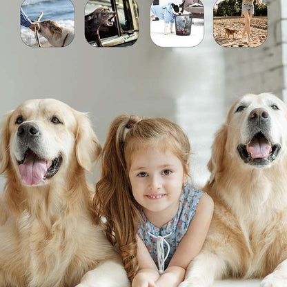 BowLift | Ultrasound Dog Repeller