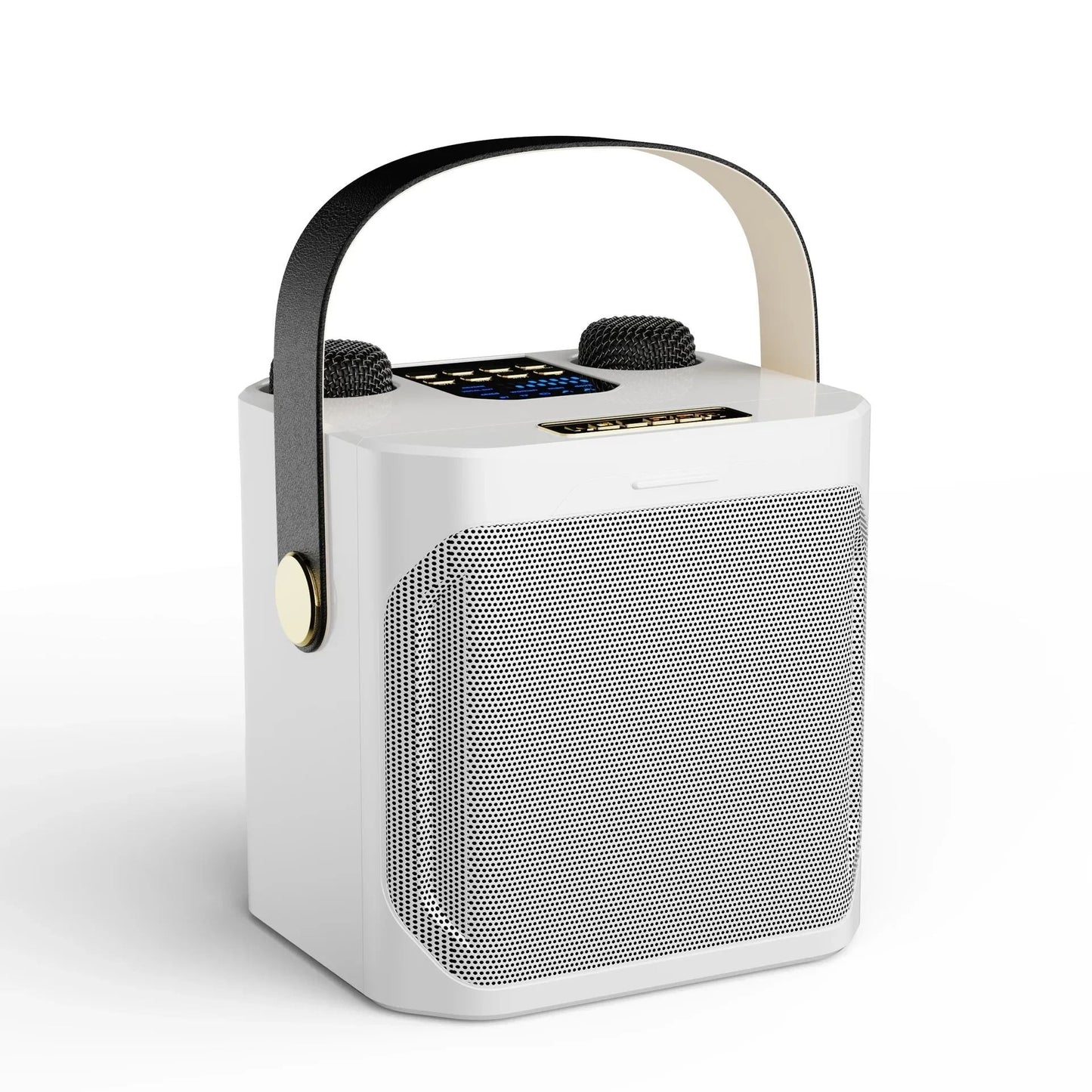 Skanto | Karaoke Bluetooth Speaker – 360° Surround Wireless Subwoofer with Dual Mics