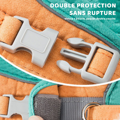 Harness and Leash Set for Cat | Skanto