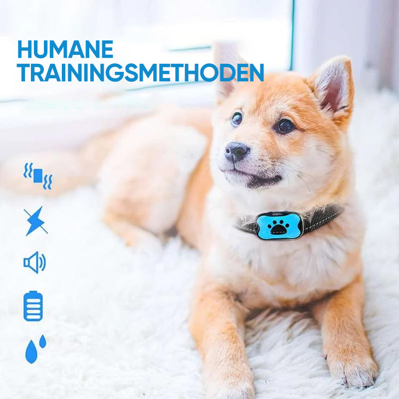 Rechargeable, waterproof dog trainer