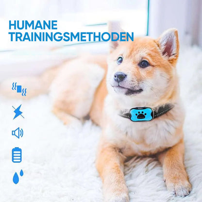Rechargeable, waterproof dog trainer