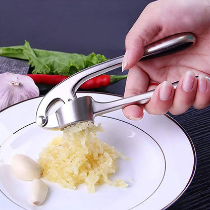 Stainless Steel Garlic Press | Karnz