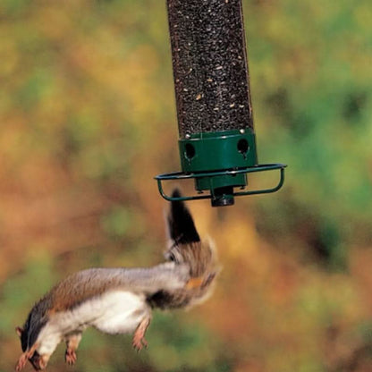 BowLift | Squirrel-Proof Bird Feeder – 5lb Seed Tube with 4 Ports