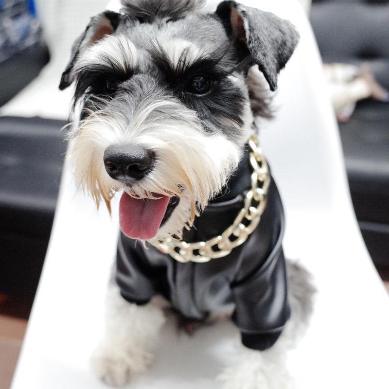 Pet Jewelry Thick Gold Chain Collar