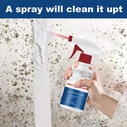 Skanto | Mold Remover Foam